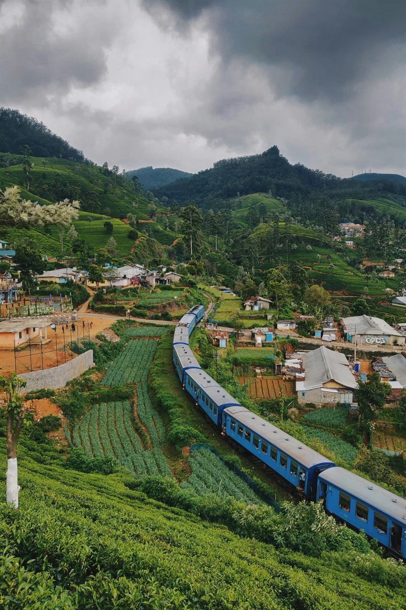 Nuwara Eliya Tea Gardens