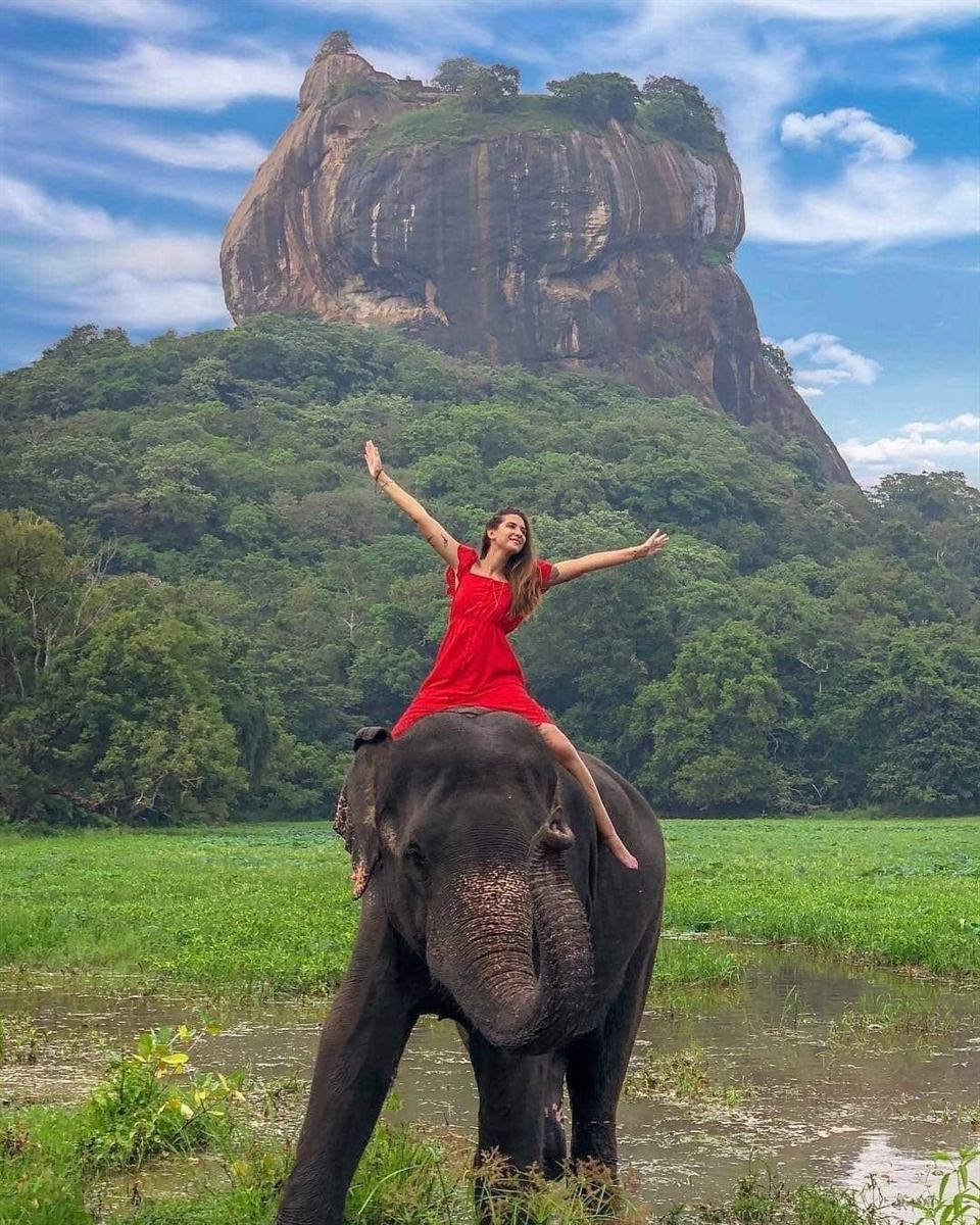 10-Day Essential Sri Lanka Highlights - Sri Lanka Tour Package